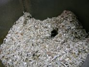 Wood waste Wood waste